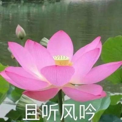中国“钢铁教父”沈文荣逝世 享年78岁